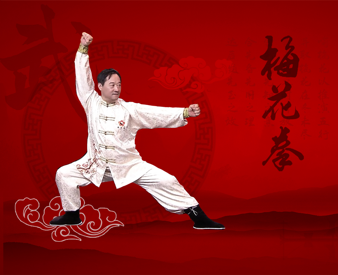文化遗产项目 a target="_blank" href="/item/邢台梅花拳/5831261"