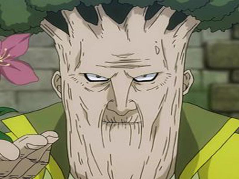 菲奥雷王国中的一流魔