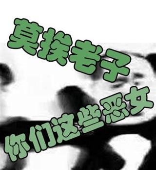 莫挨老子你们这些恶女
