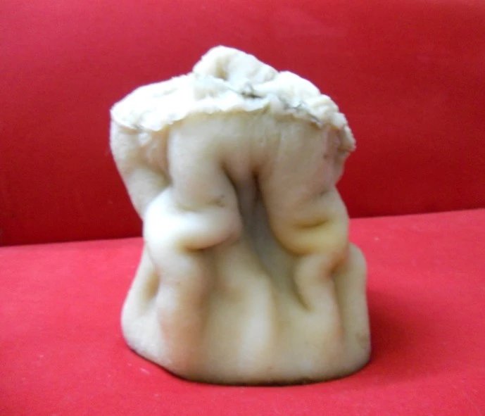  p data-id="gntkh9z4u9">肉灵芝,又称太岁.