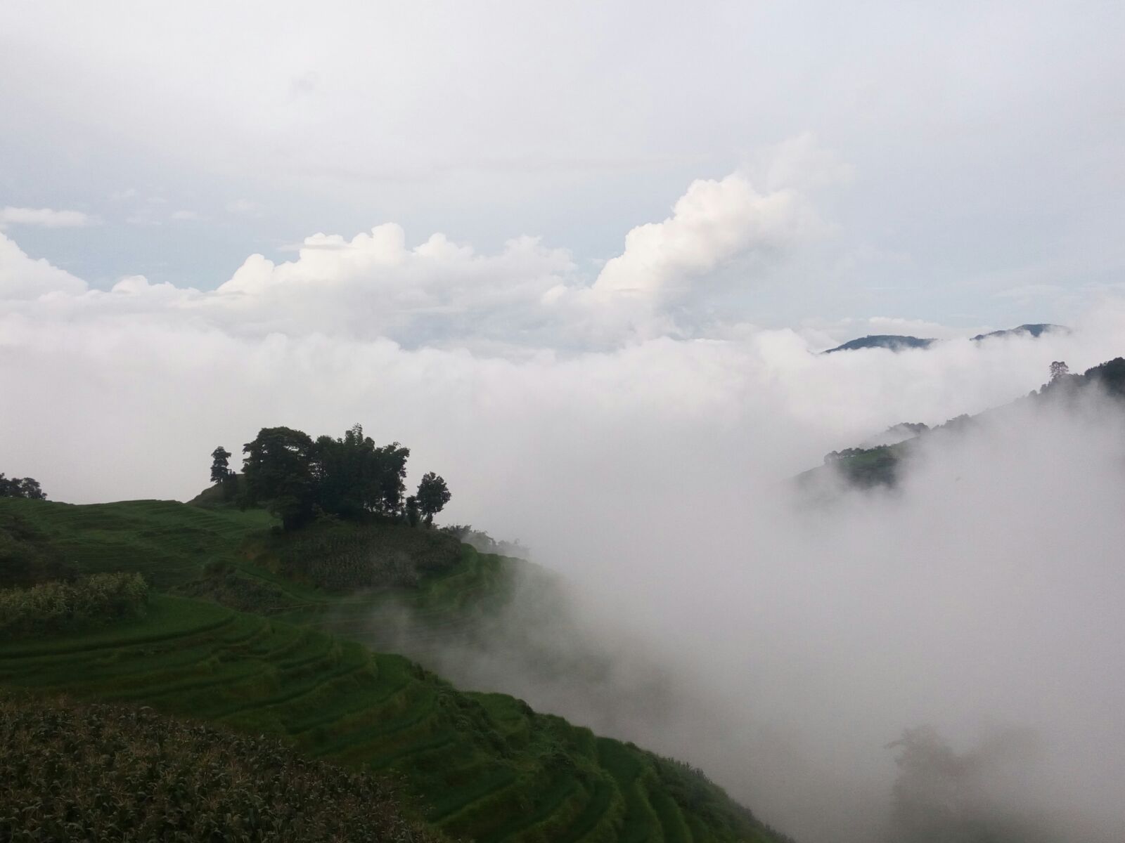  p>逢春岭乡,隶属于云南省红河哈尼族彝族自治州元阳县,地处 a target