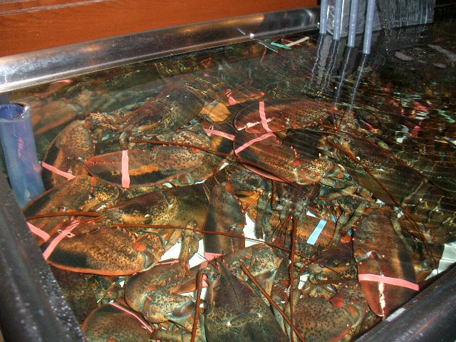 data-lemmaid="875123">亚洲渔港 /a>红龙虾料理餐厅,是由国内最大的