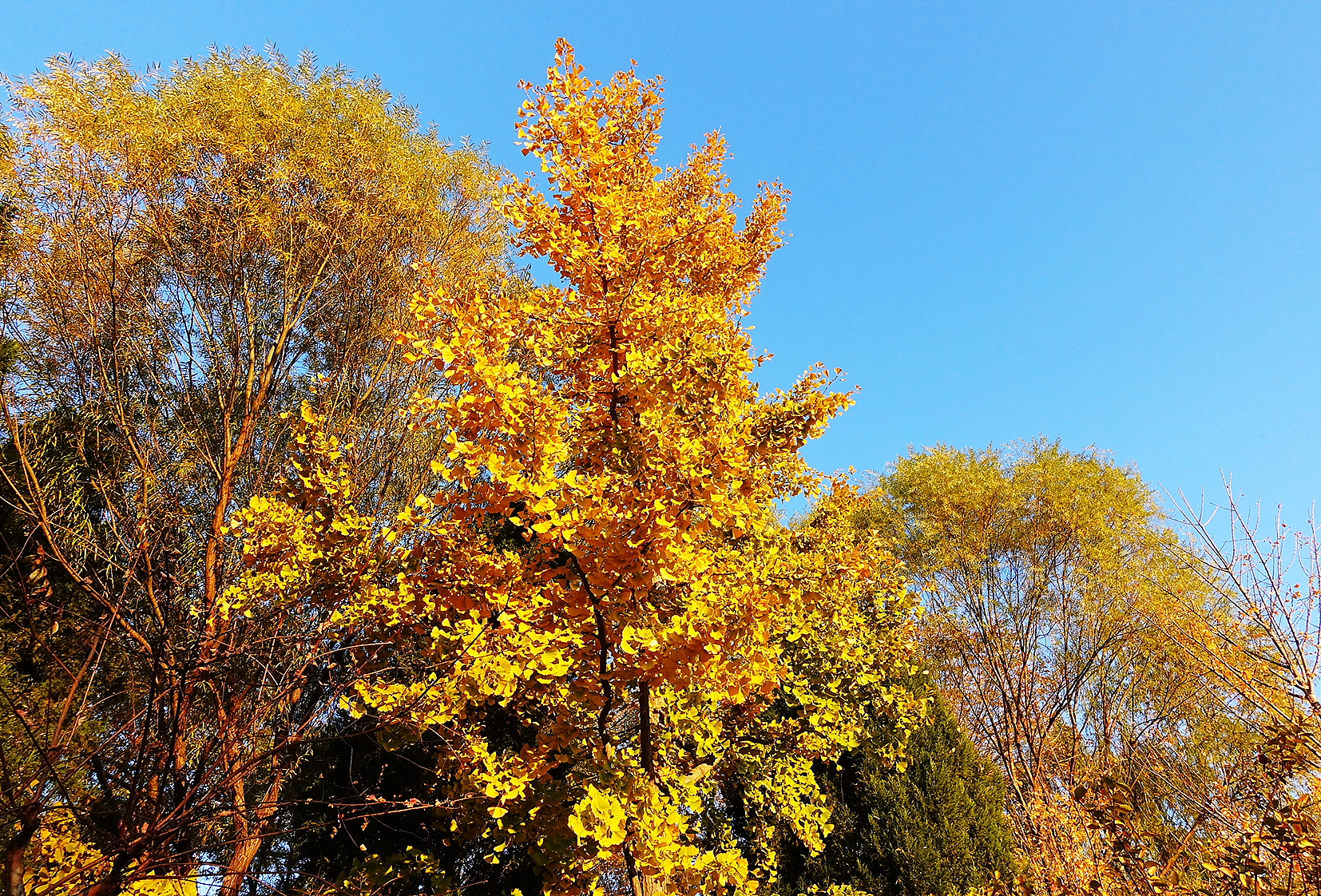  p>日月岛是大庆连环湖度假区西部一个面积约1平方公里的湖中小岛