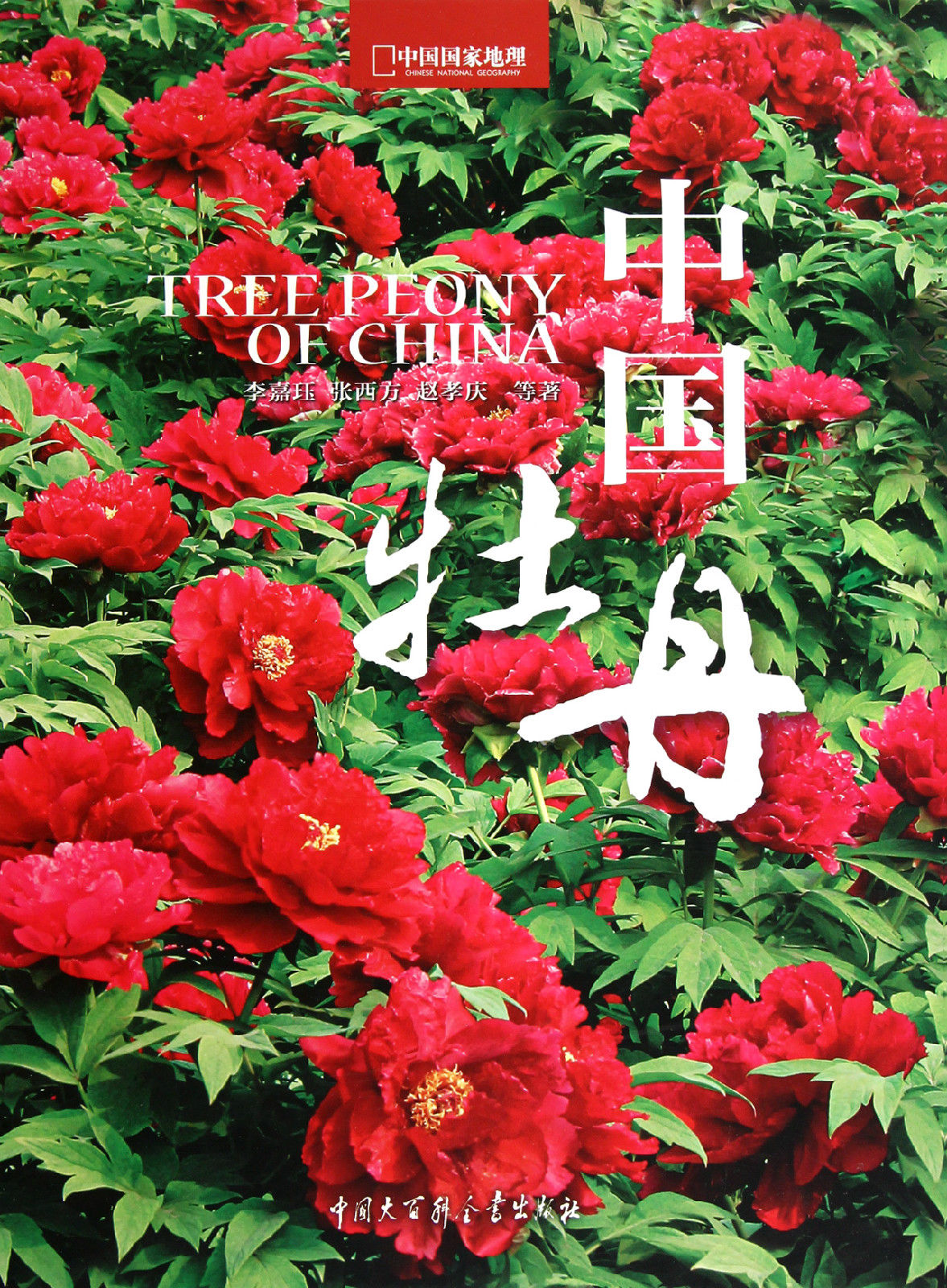 中国国家地理:中国牡丹