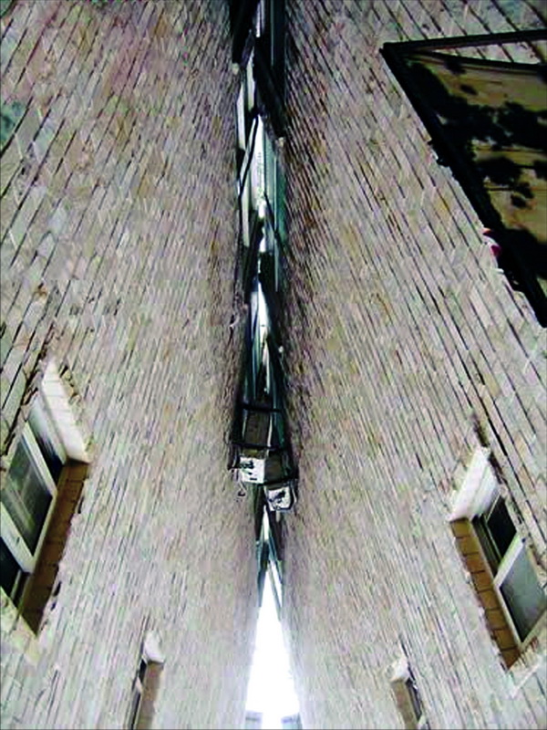 楼歪歪