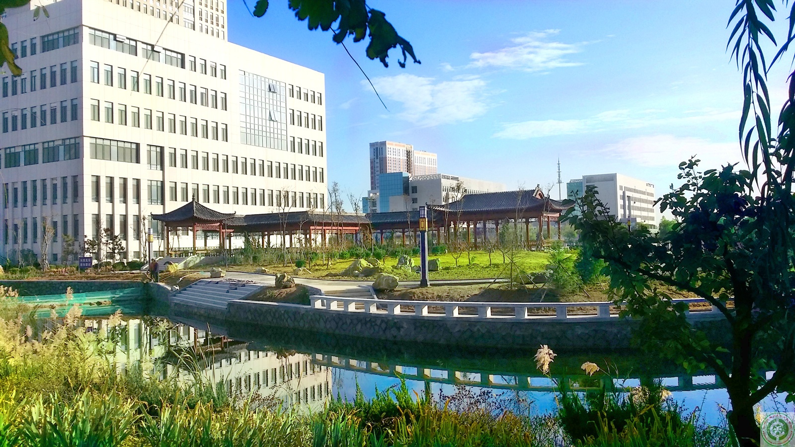  p> b>山东中医药高等专科学校 /b>( i>shandong college of