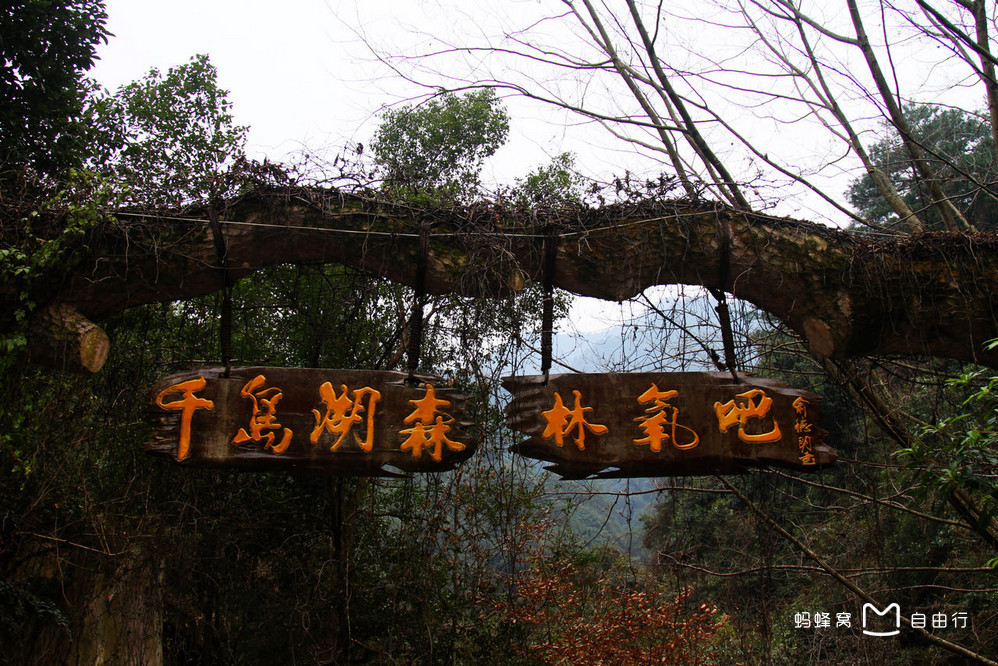  p>千岛湖森林氧吧位于 a target="_blank" href="/item/千岛湖/32892