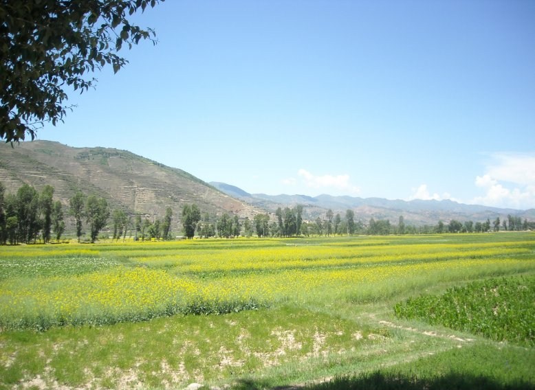 坐落于今甘肃省定西市 a target="_blank" href="/item/岷县/2997991"