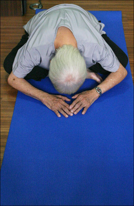 g470">许哲(teresa hsu chih,1897年7月7日-2011年12月7日),著名居士