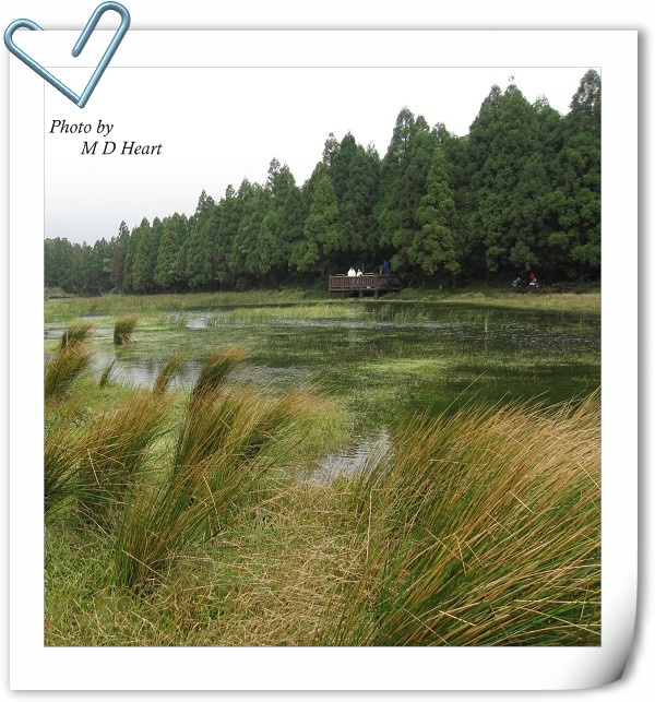  p data-id="gnx15sz65m">梦幻湖是位于中国台湾省台北市北投区的一个