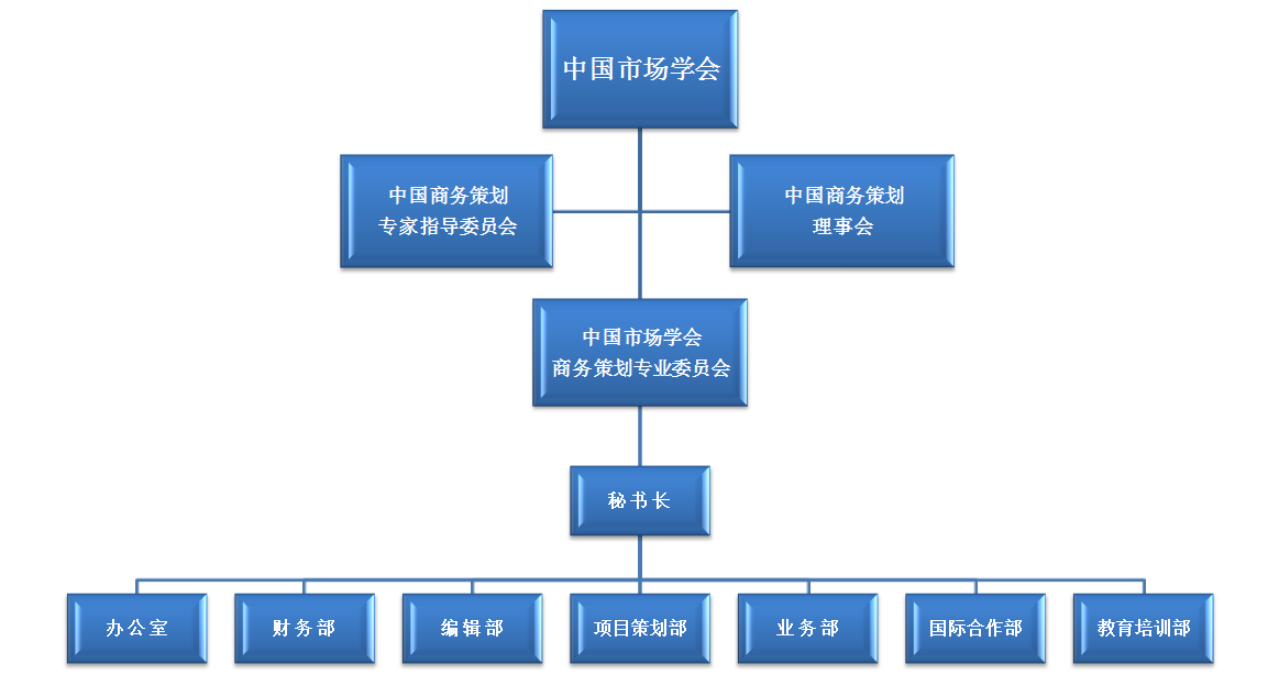 中国市场学会商务策划专业委员会