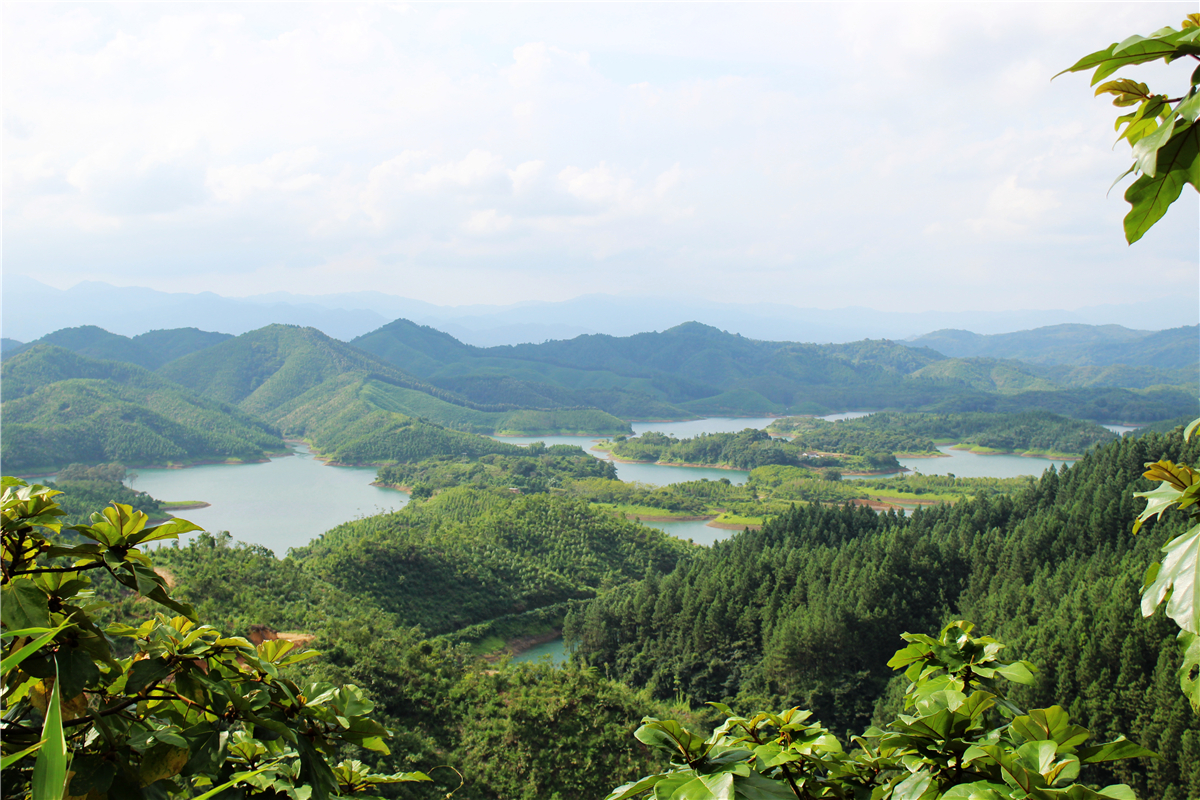 广东阳春市花滩森林公园