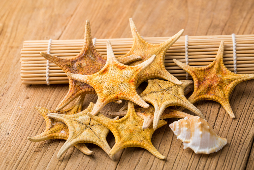  p>海燕asterinidae, a target="_blank" href="/item/海星/33491"