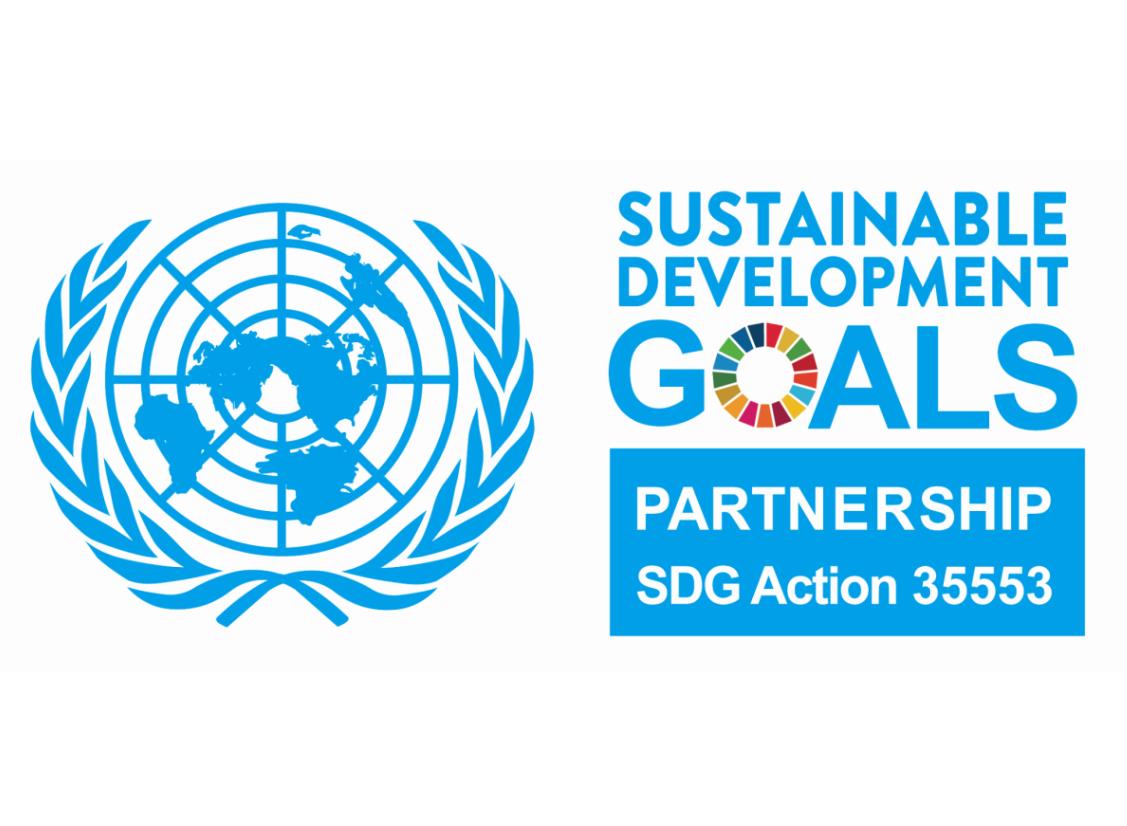 联合国可持续发展目标全球协作项目工作委员会