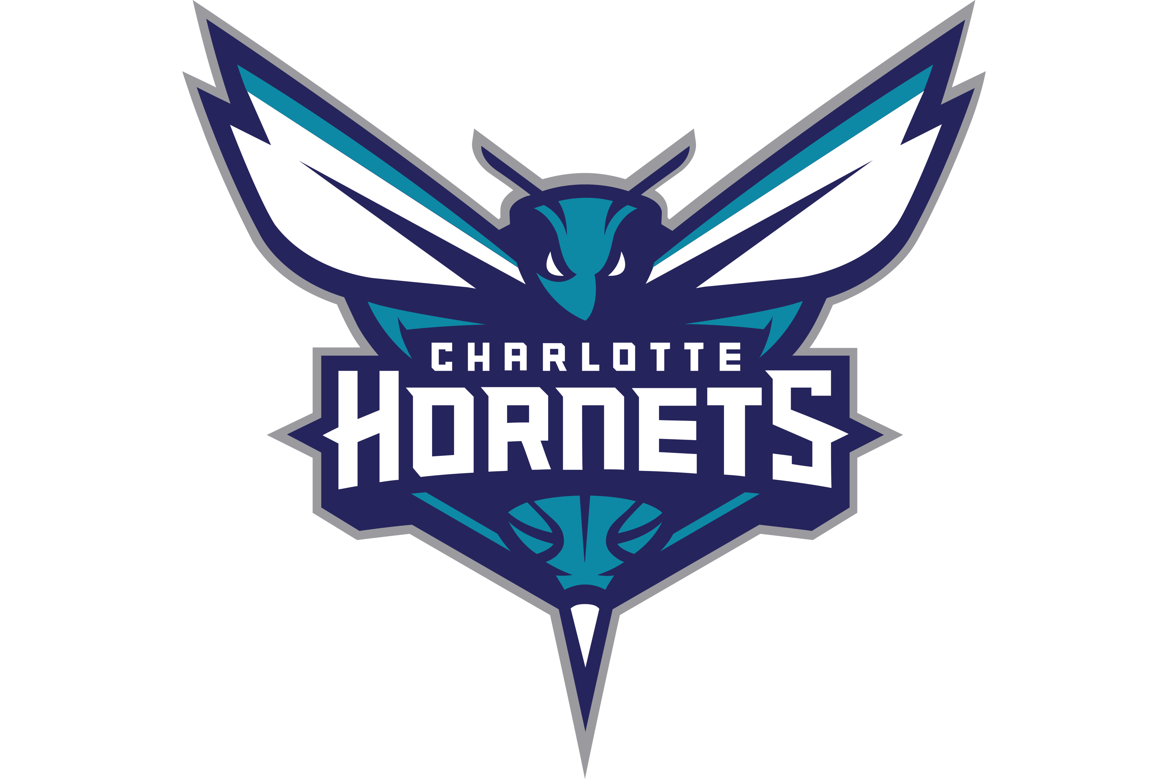  p>夏洛特黄蜂队(charlotte hornets)是一支位于美国 a href="#" data