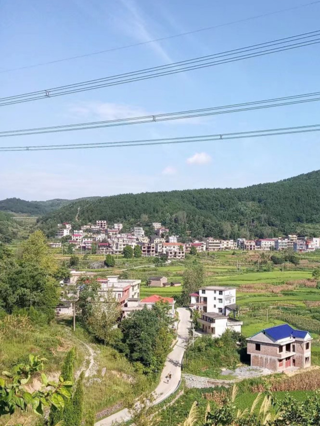  p>其林村,隶属湖南省邵阳市武冈市邓家铺镇,地处邓家铺镇西北部,面积