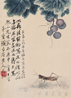 葡萄蝗虫