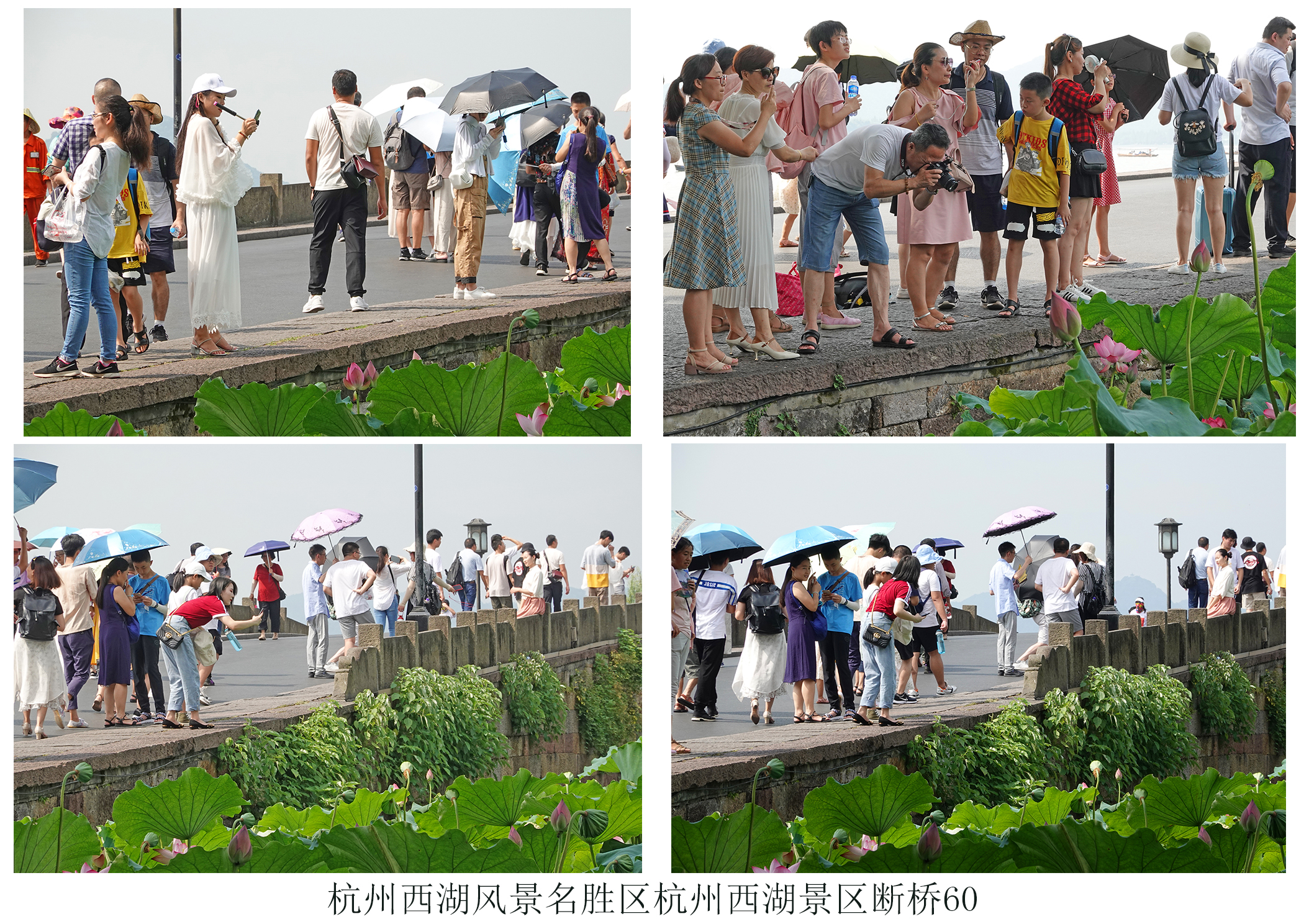 西湖三大情人桥