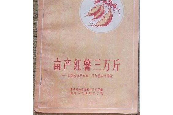 亩产红薯三万斤