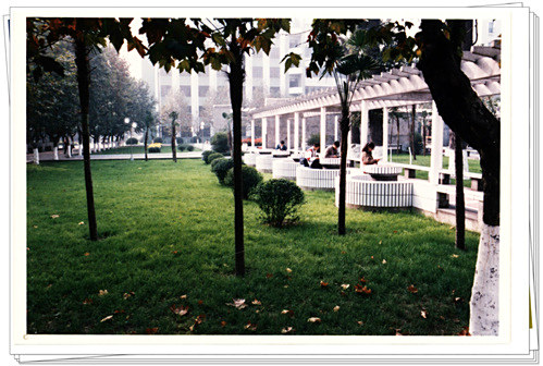 1997年成都师范高等专科学校学生在校园里自习留影