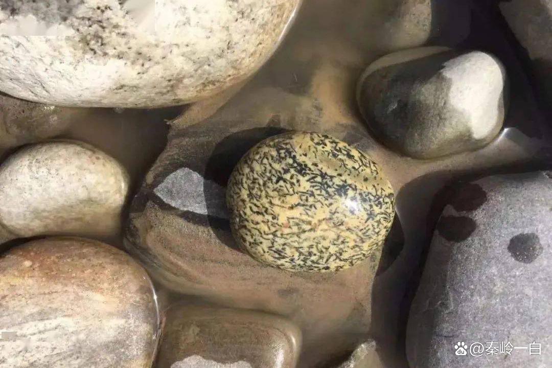 秦岭一白说历史人物：麦铁杖_百科TA说