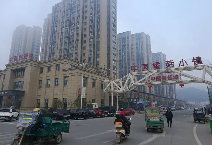 香菇小镇,位于浙江省丽水市庆元县.