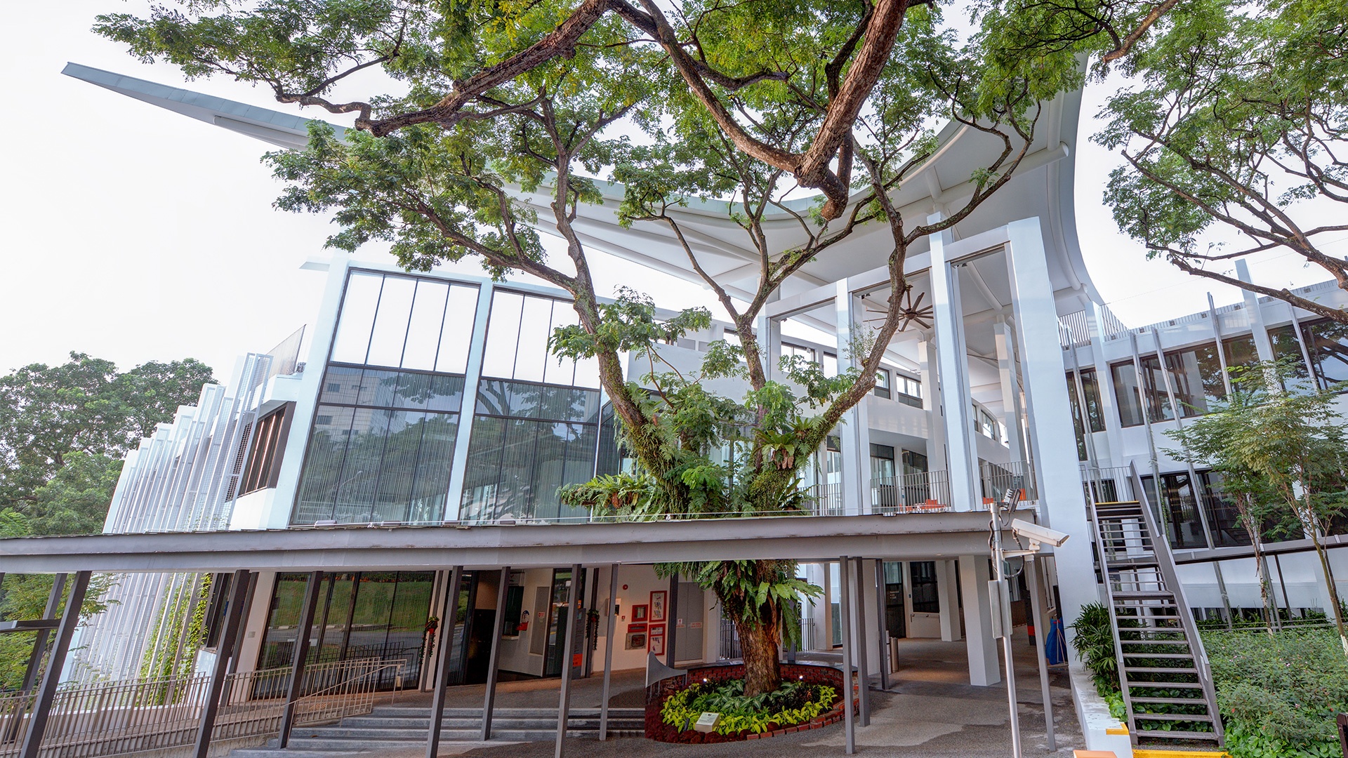  p>新加坡国立大学(national university of singapore),简称国大(nus