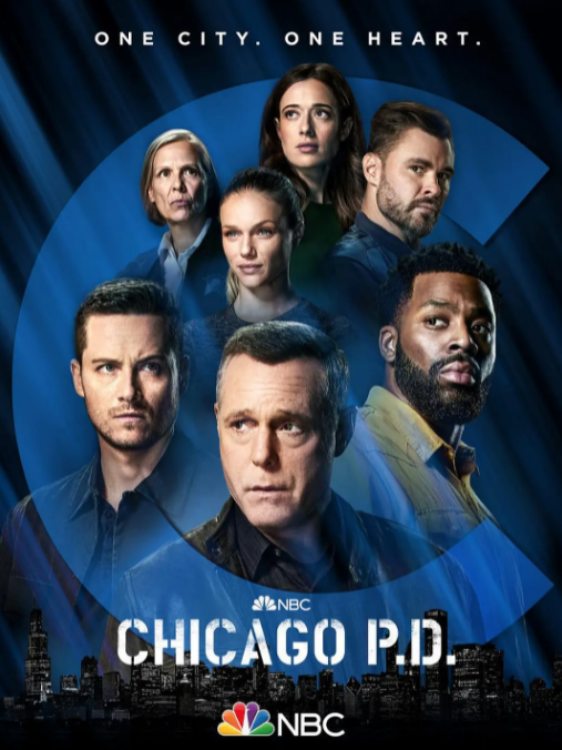 芝加哥警署第九季