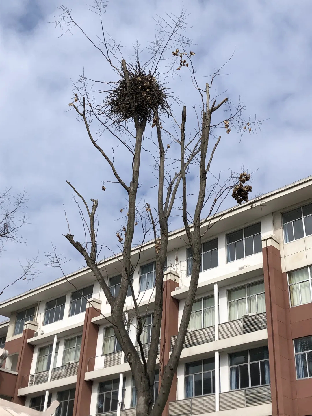 如皋市长江高级中学