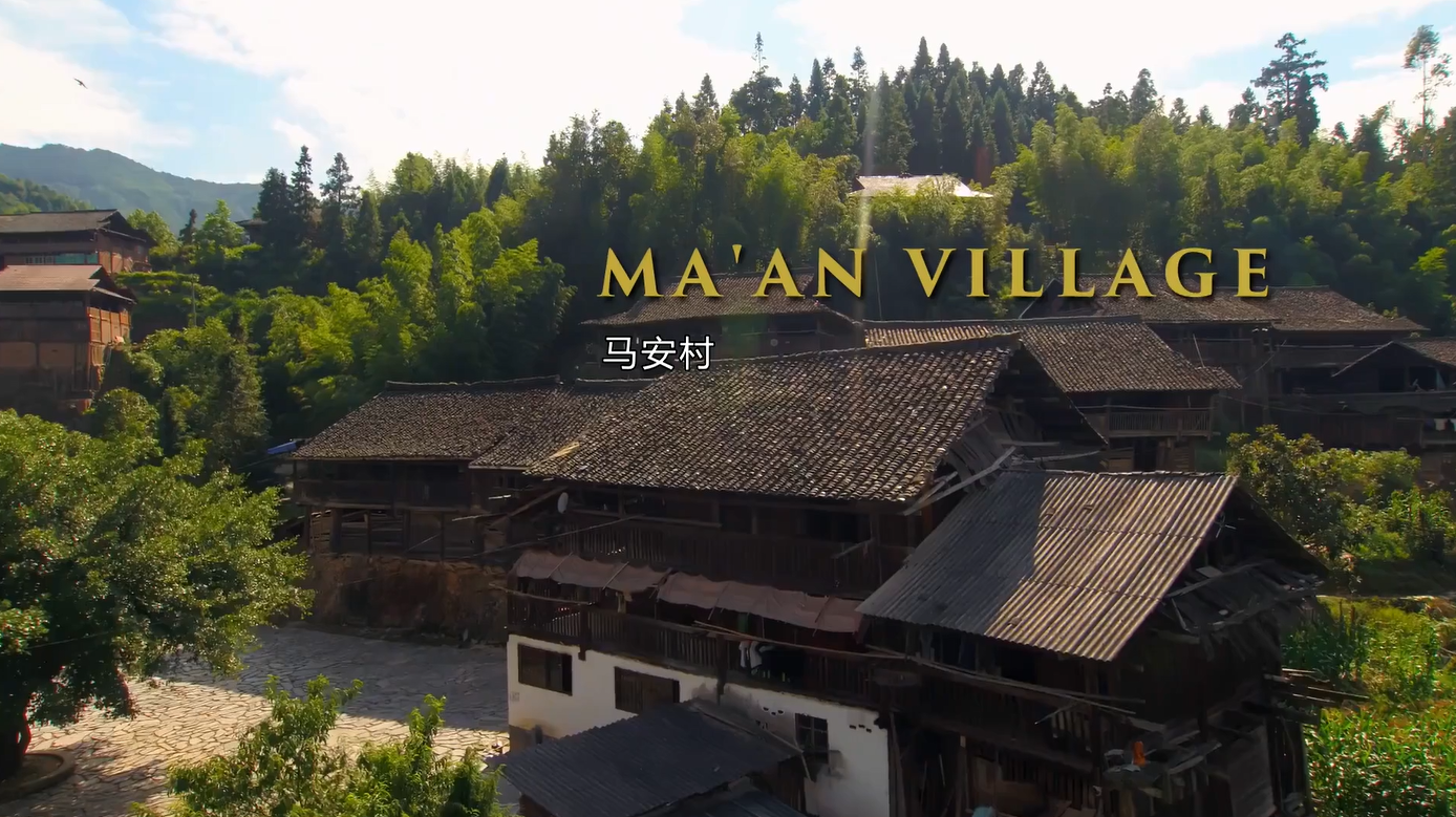 民间俗称“药鱼草”,苗族人用来捕鱼,会让鱼晕过去!#星知计划#