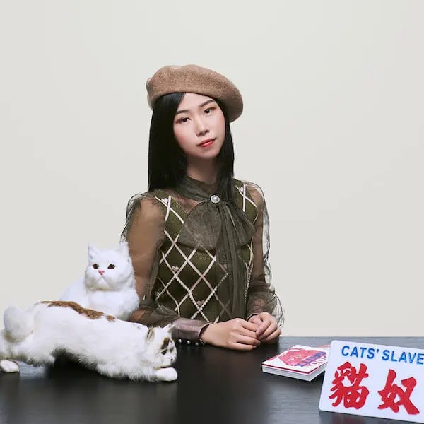 花花与三猫catlive