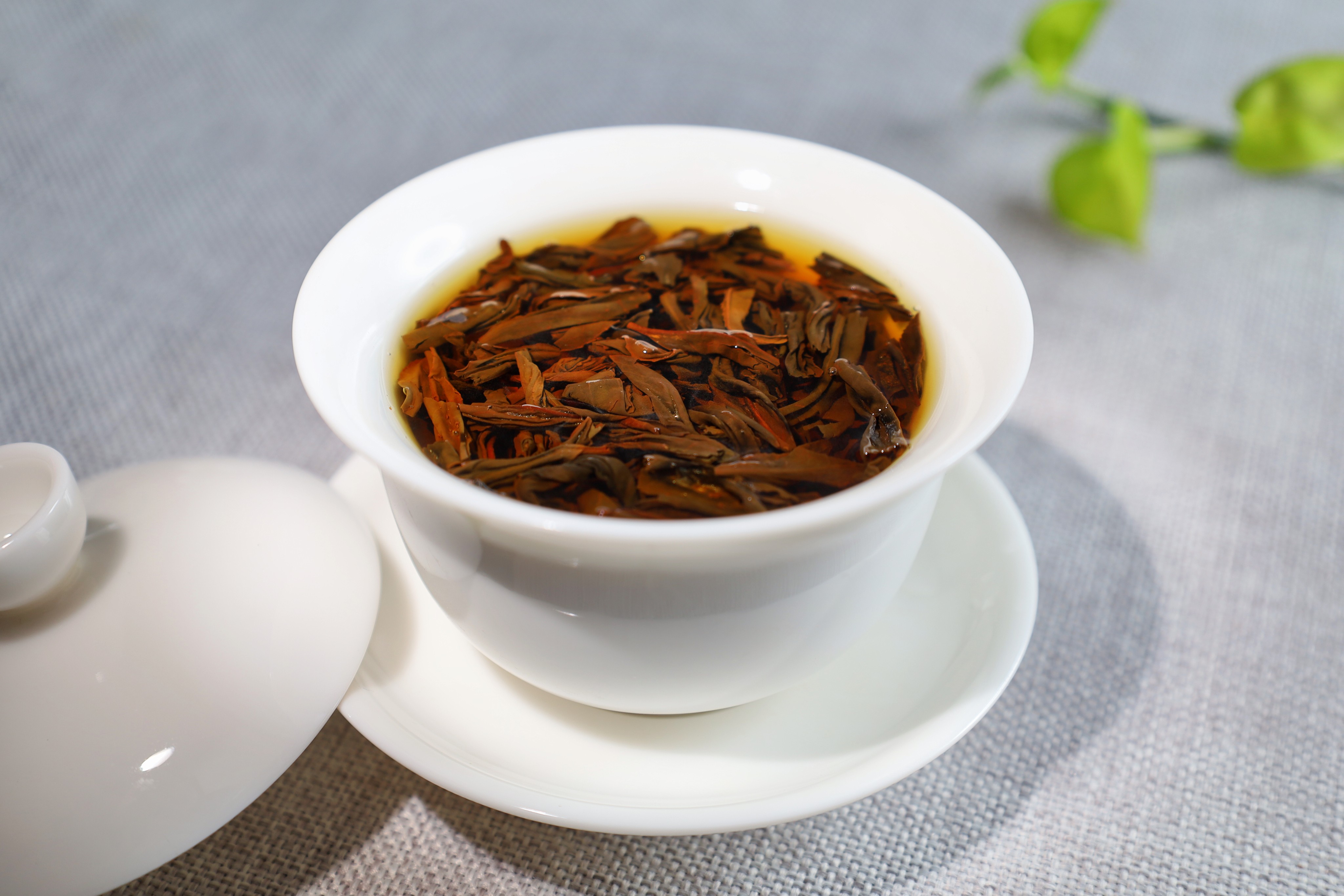 坦洋工夫茶