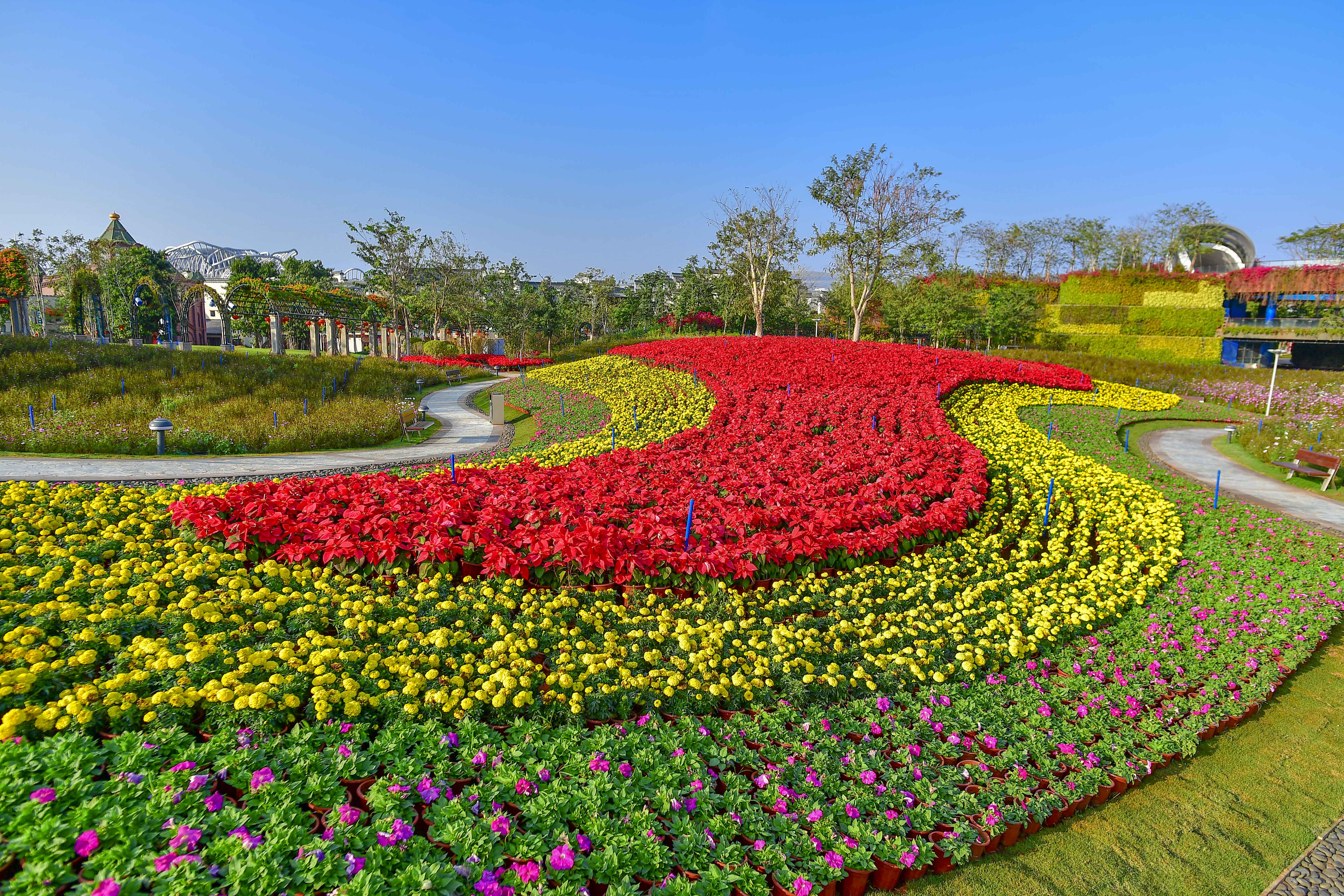 中国海南海花岛