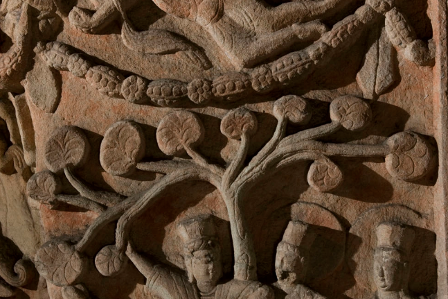 讲述的是释迦牟尼当年从其母摩耶夫人右腋下降生的故事.