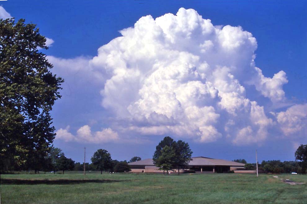 cumulus congestus