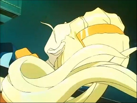 圣树为日本动画《超魔神英雄传》(中国大陆译作《神龙斗士》)中出现的