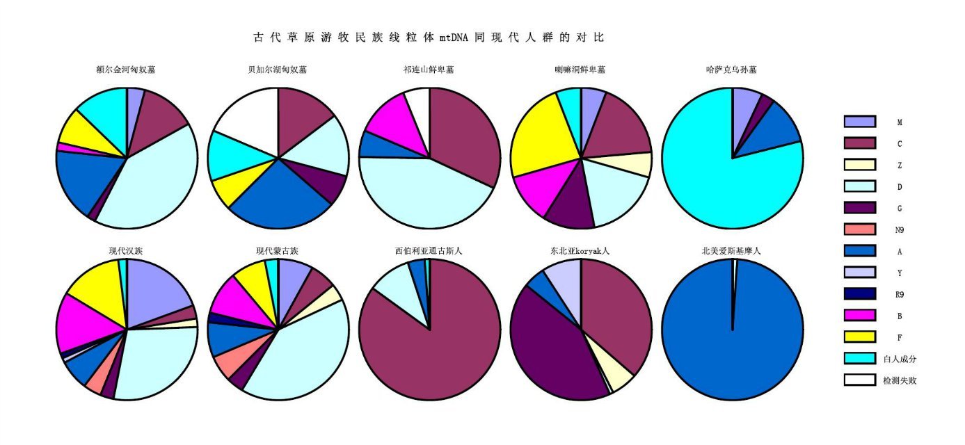  p>分子人类学(molecular anthropology)是人类学的分支,利用人类 a