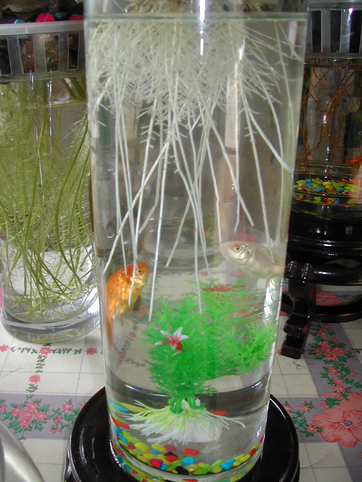 水养花卉营养液