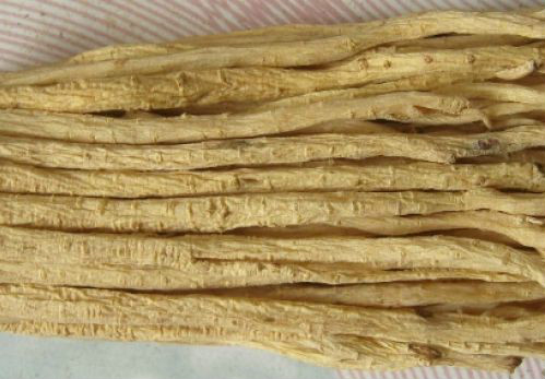 codonopsis longifolia