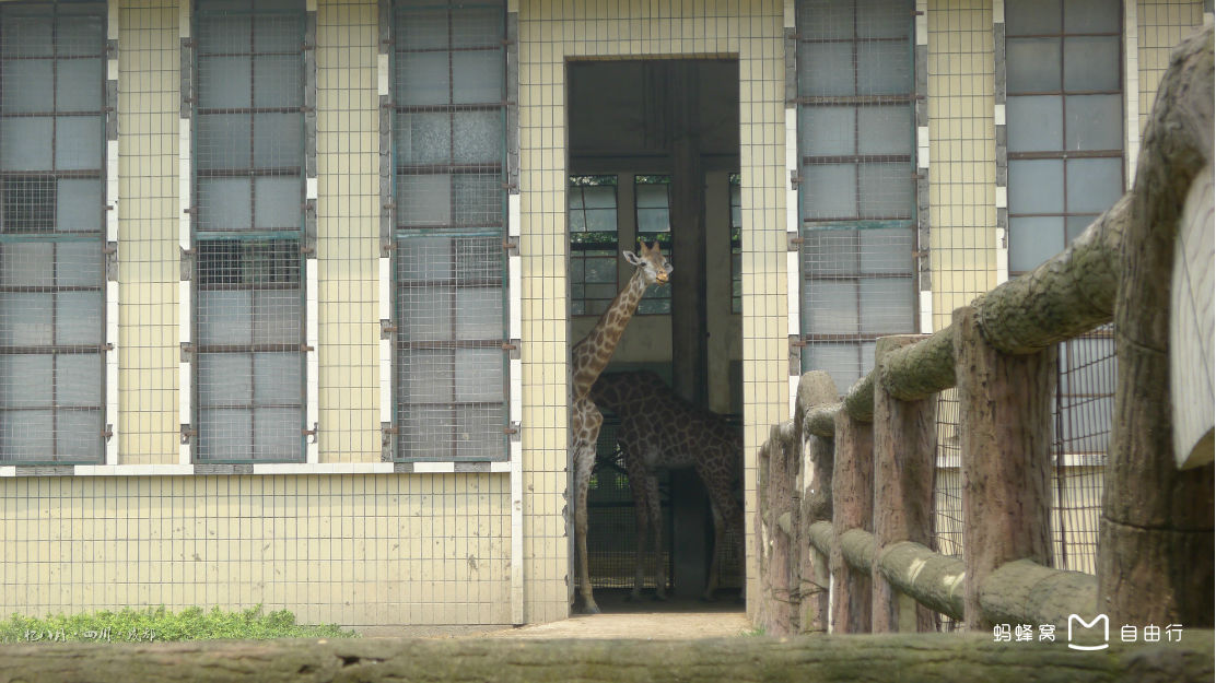 target="_blank" href="/item/成都市">成都市 /a>动物园位于四川省