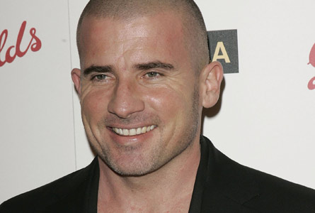 多米尼克·珀塞尔