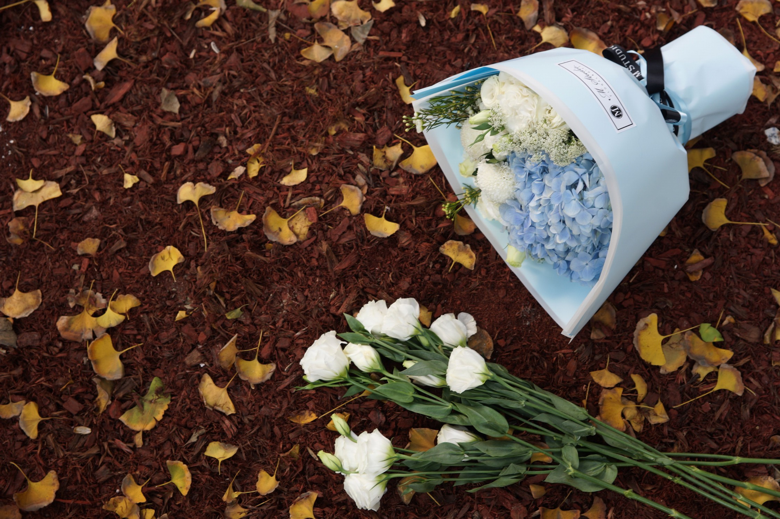 m m studio floral&gift