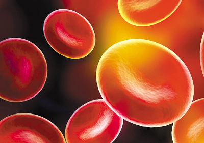  p>癌性恶病质(cancer cachexia,cc)主要是由肿瘤 a target="_blank"