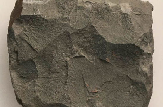  p>内源沉积岩(endogenetic sedimentary rock),亦称内生沉积岩,其