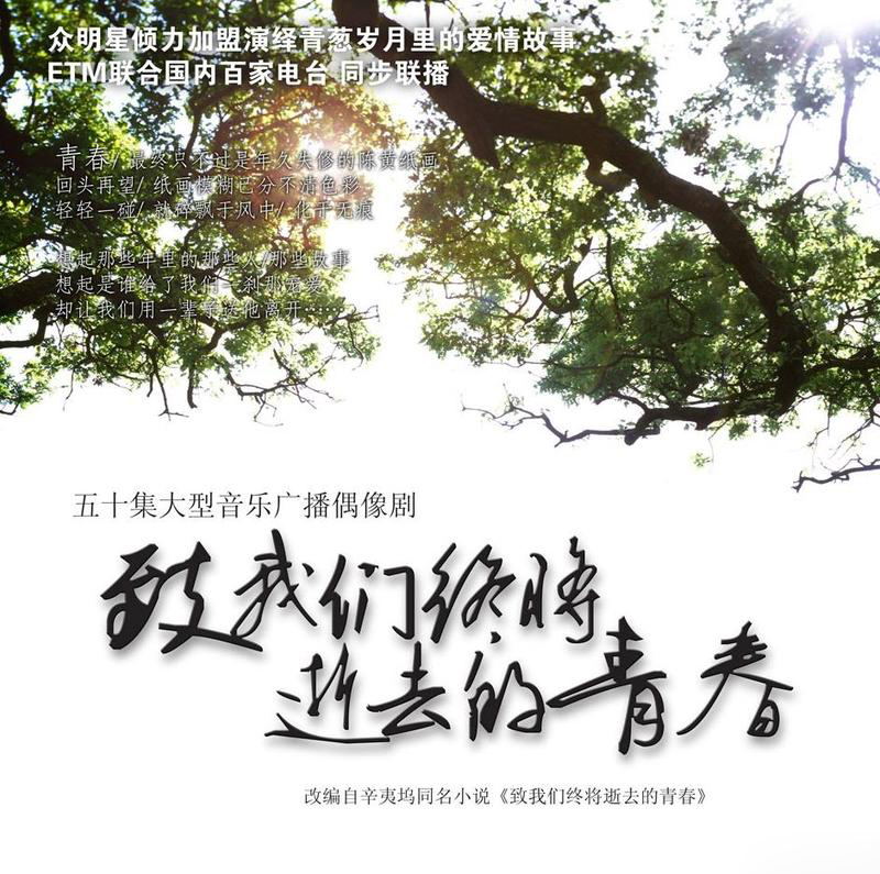 致我们终将逝去的青春