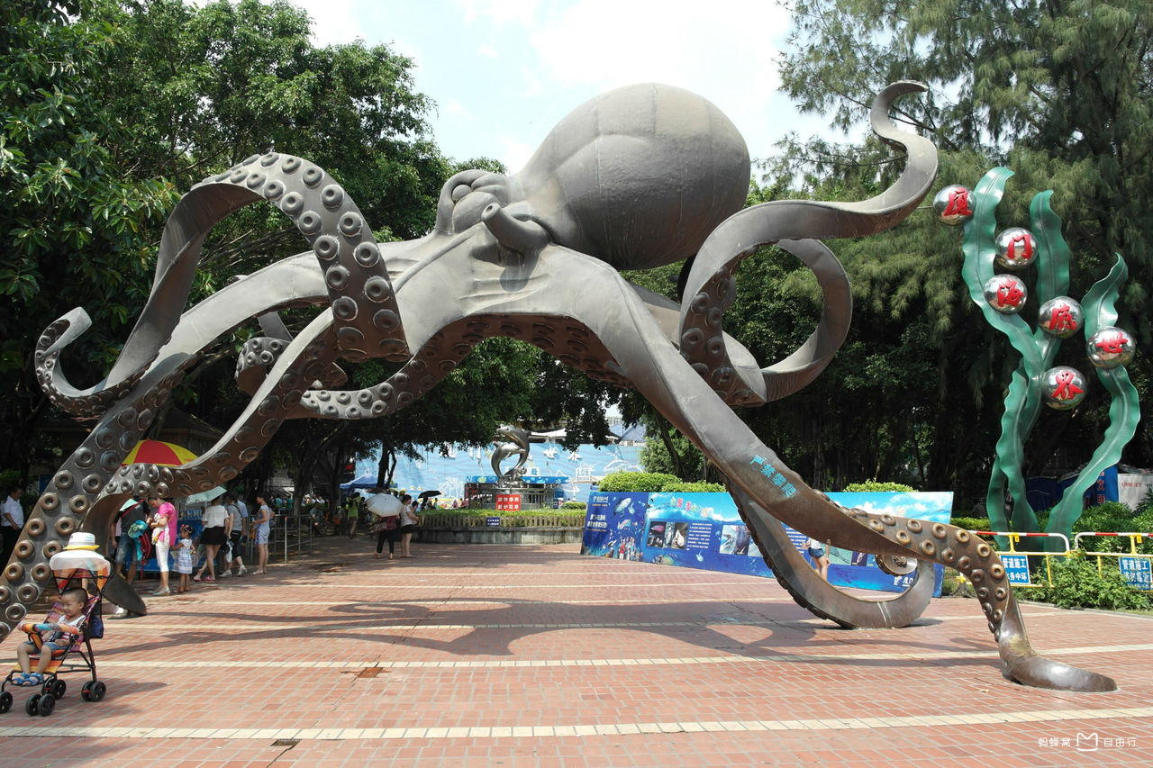 厦门海底世界坐落在鼓浪屿东岸黄家渡,原为鼓浪屿公园,紧靠轮渡码头.