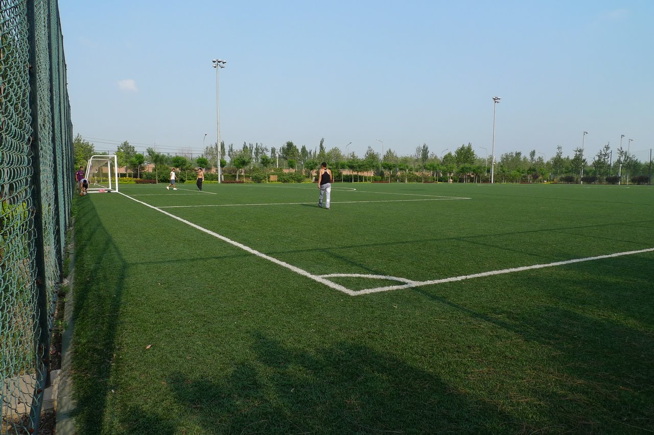  p>南宫体育公园位于 a href="#" data-lemmaid="126069">北京市 /a>