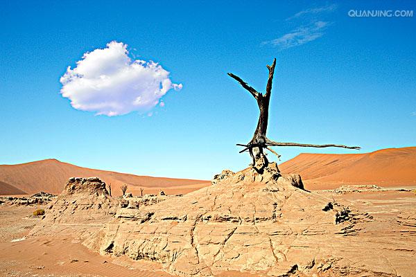 埃托沙国家公园