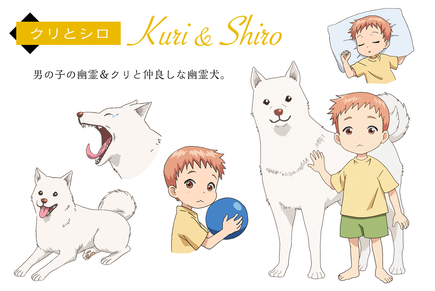  p>电视动画《妖怪公寓的幽雅日常》改编自香月日轮创作的同名轻小说