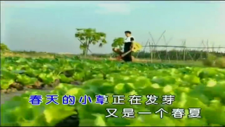 流浪歌（陈星1997年发行专辑）_百度百科
